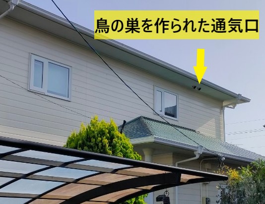 鳥の巣を作られた通気口　住宅の北側